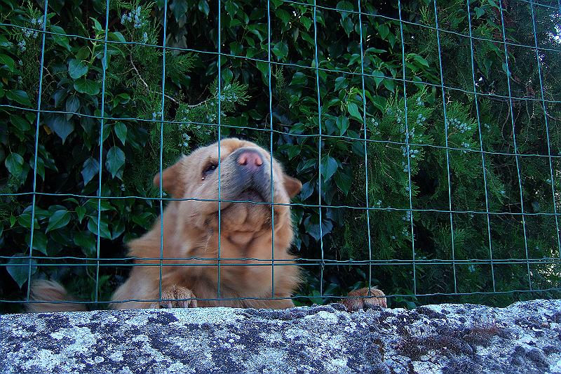 2010-06- (36).JPG - Bon jour !!